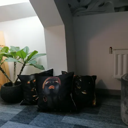 Kokert Delux Pihenohaz 코세그