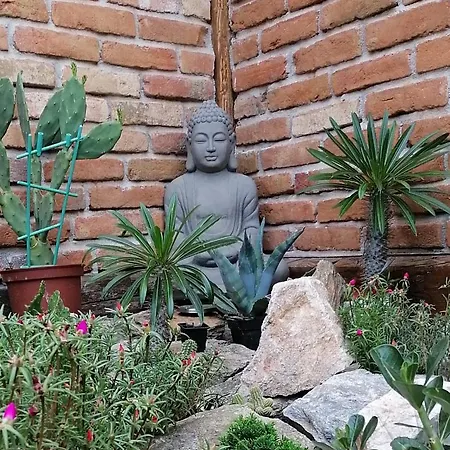 Kokert Delux Pihenohaz 펜션