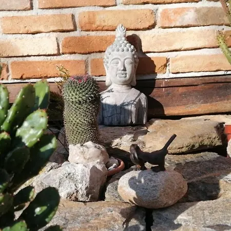 Kokert Delux Pihenohaz 펜션 코세그